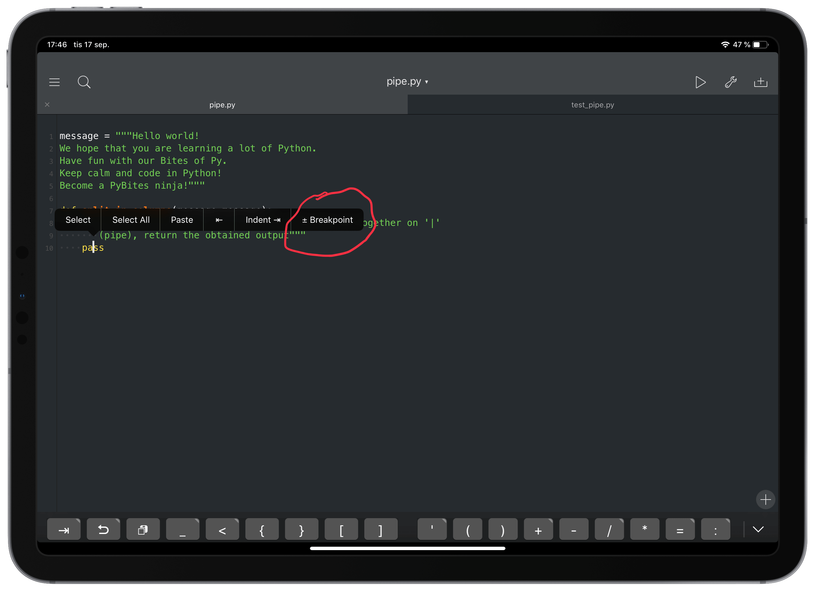 Pythonista Intro image